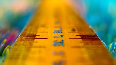 How to Measure the Success of Peer Tutoring Programs