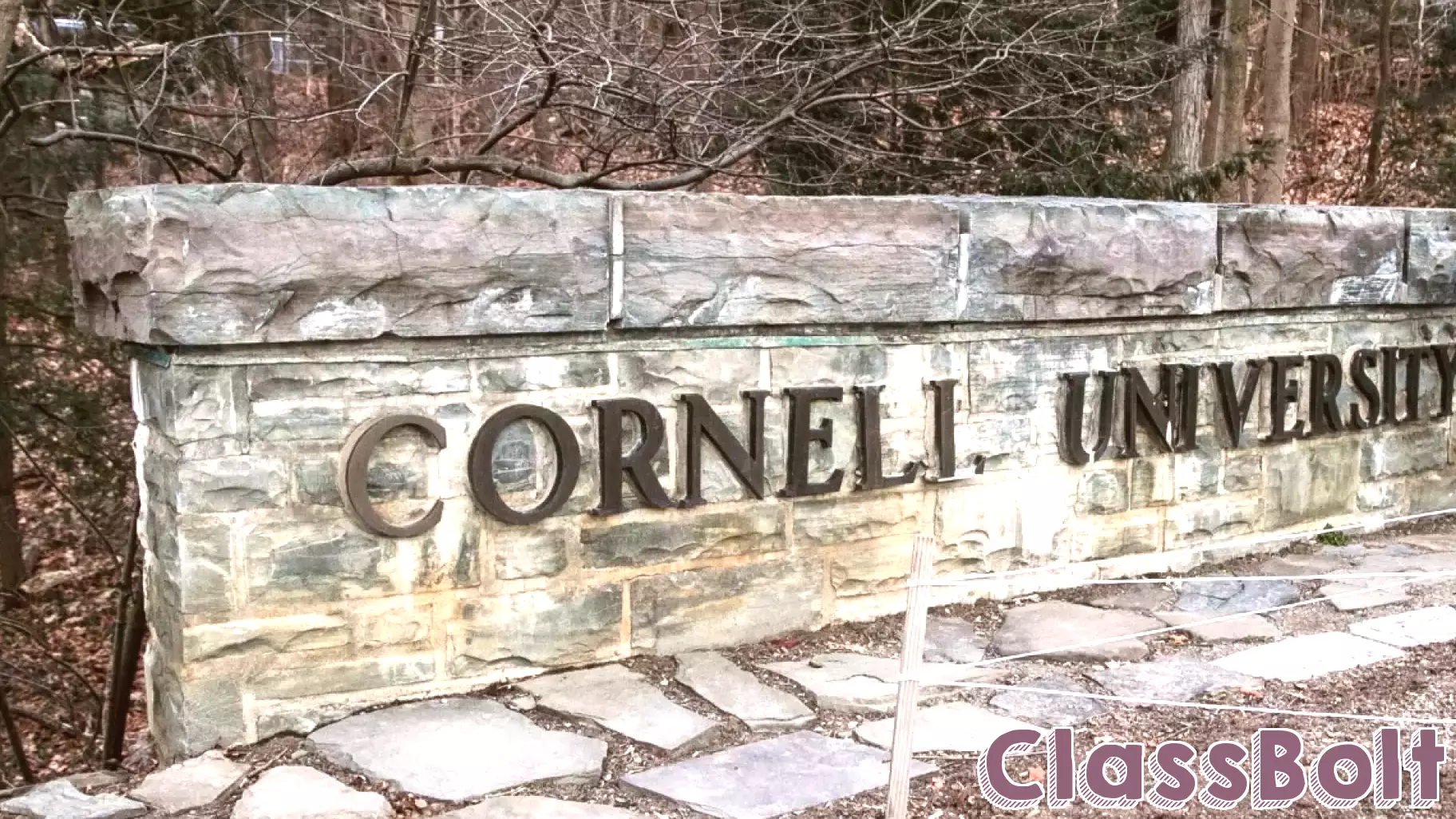 Cornell Unveils Major Reform Plan to Address Higher Education Crisis