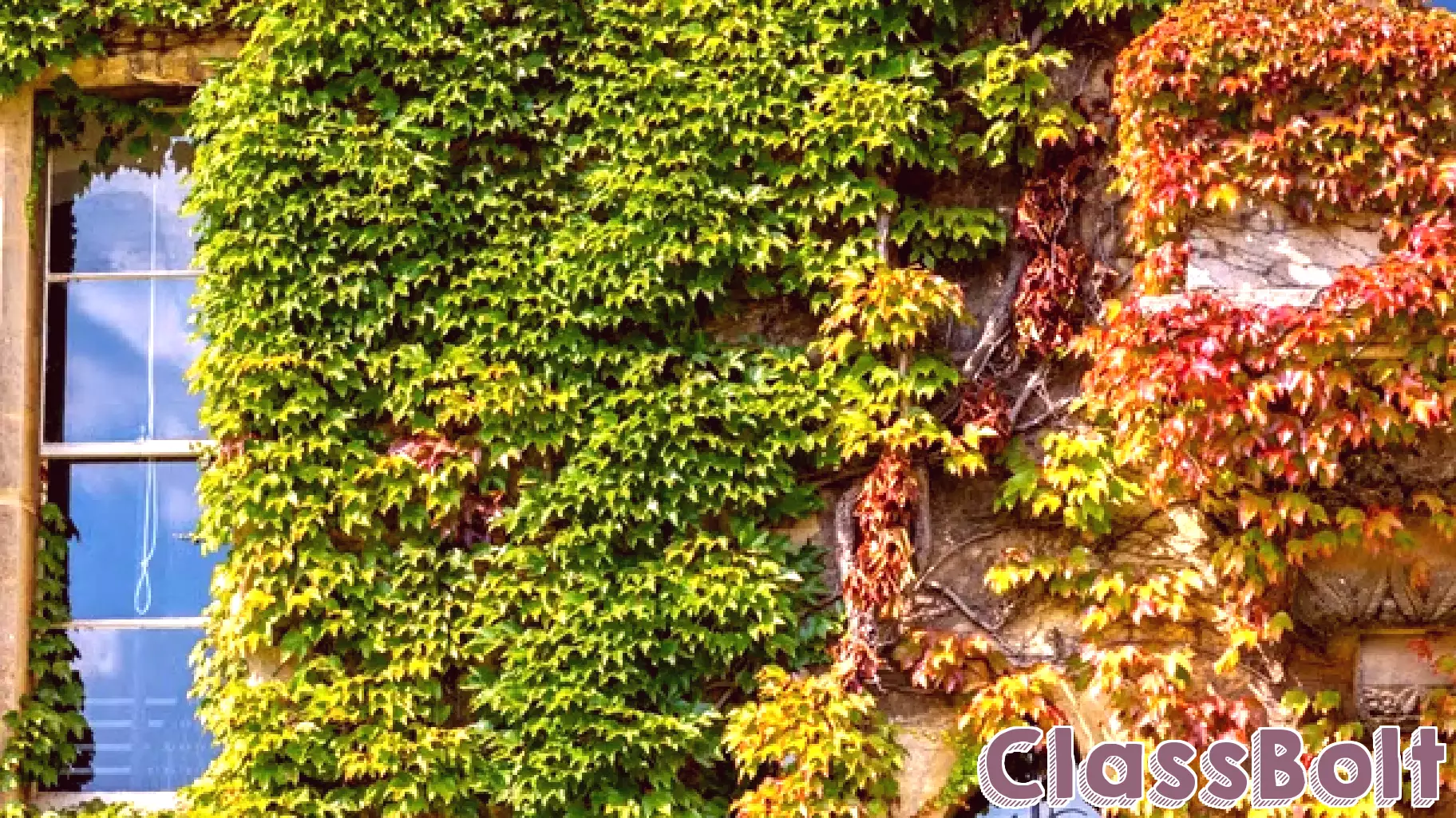 Effects of the OBBBA on higher education