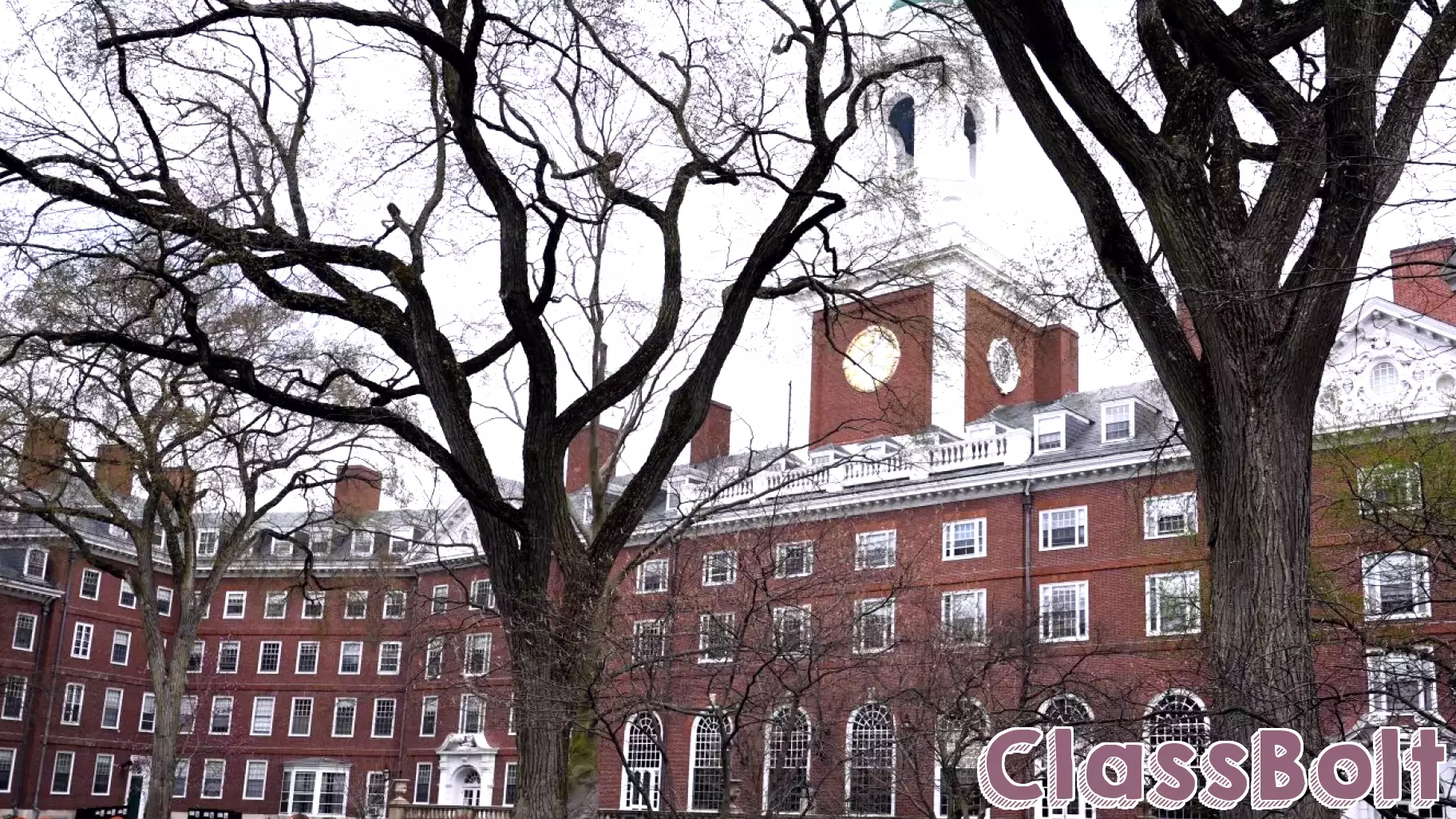 Harvard Faculty's Irony: A Case Against Academic Freedom