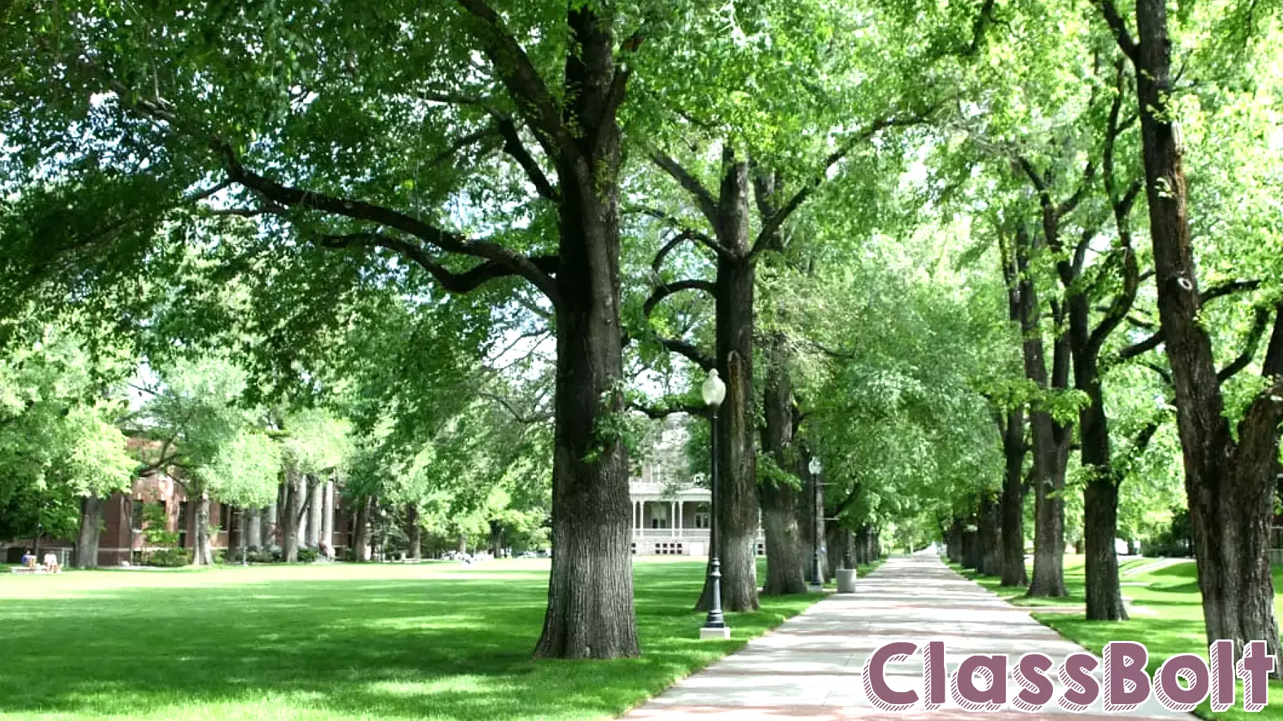 Hillary Procknow Appointed Vice Provost for Undergraduate Education