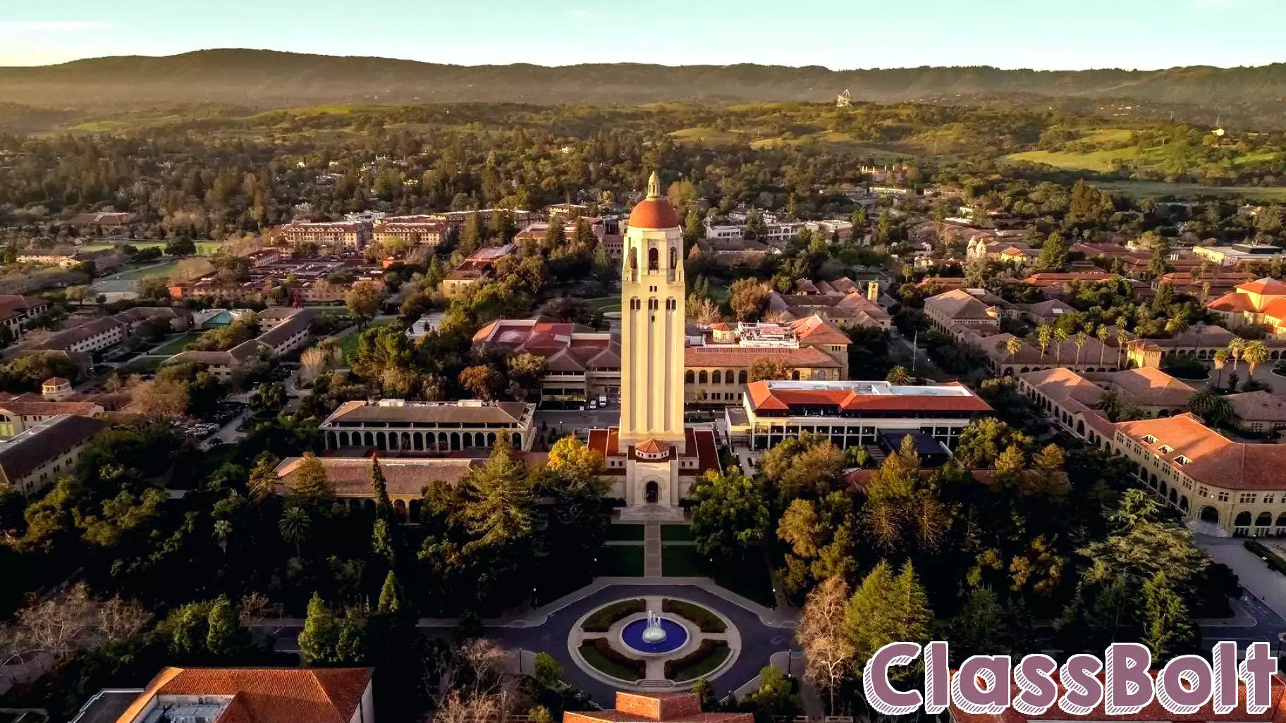 Insights from Stanford Open Minds on Education, Work, and AI