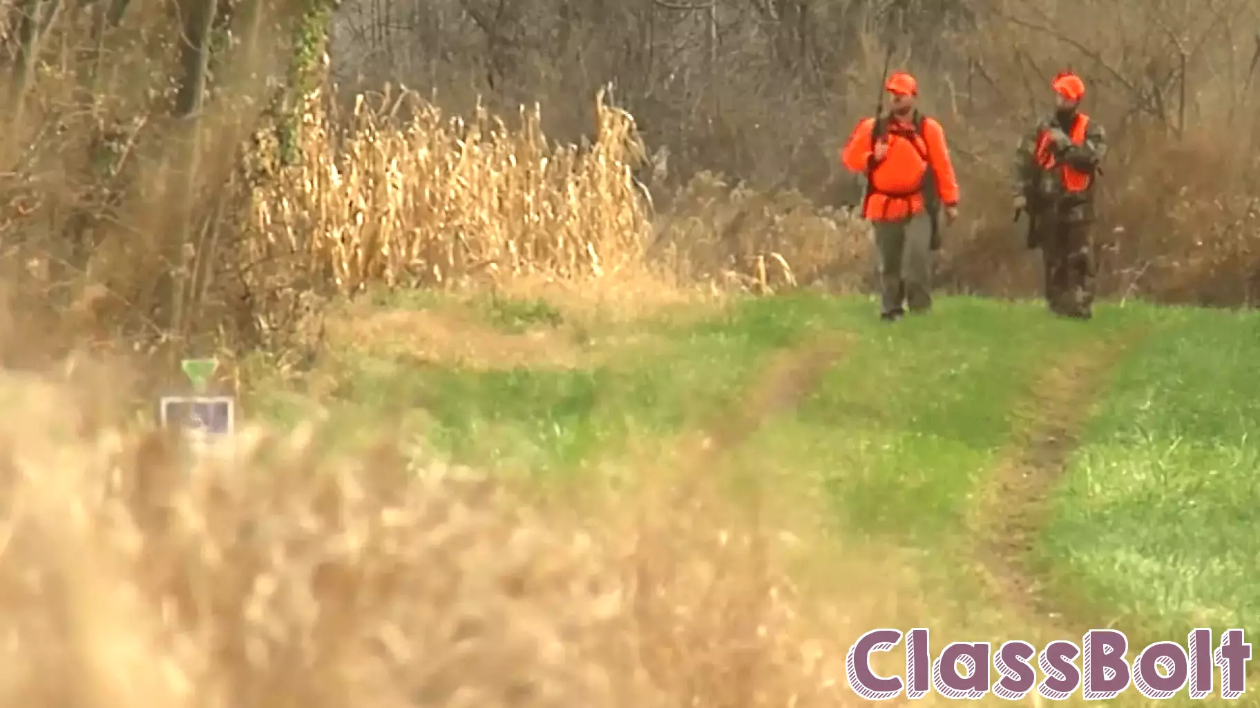 New Tennessee law allows schools to offer hunter education course