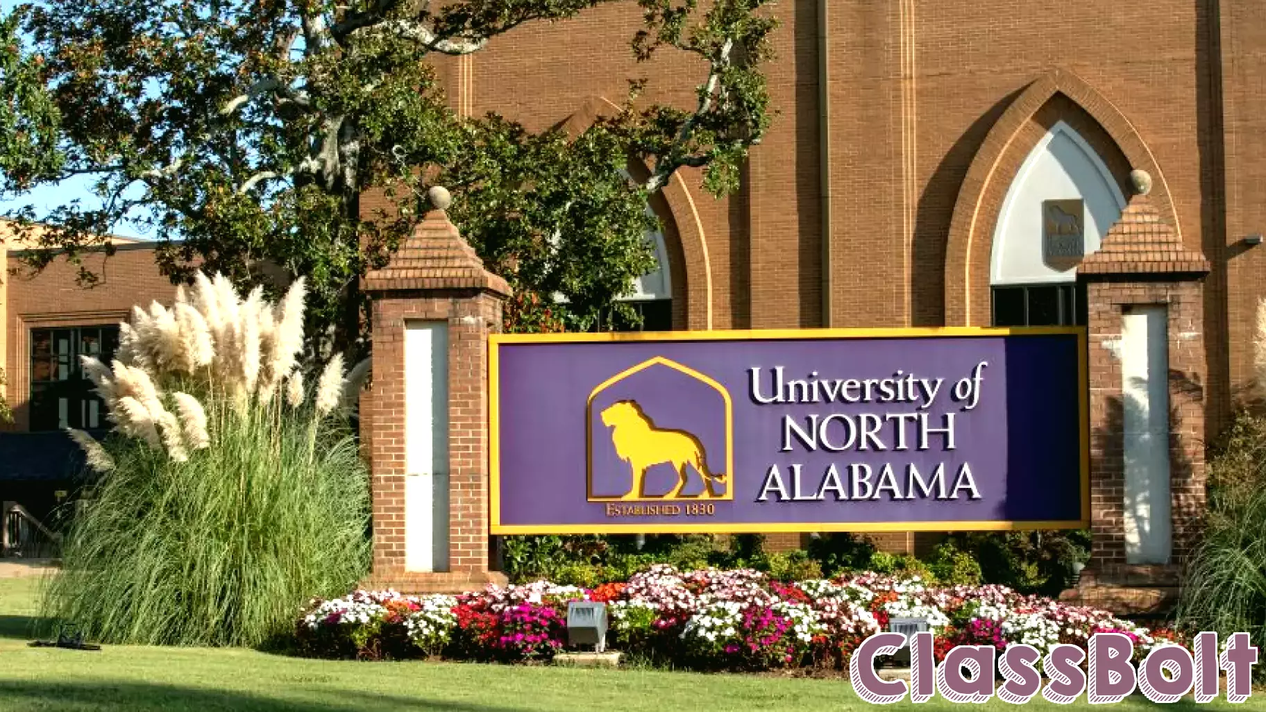 UNA's College of Education and Human Sciences Secures Reading Initiative Grant