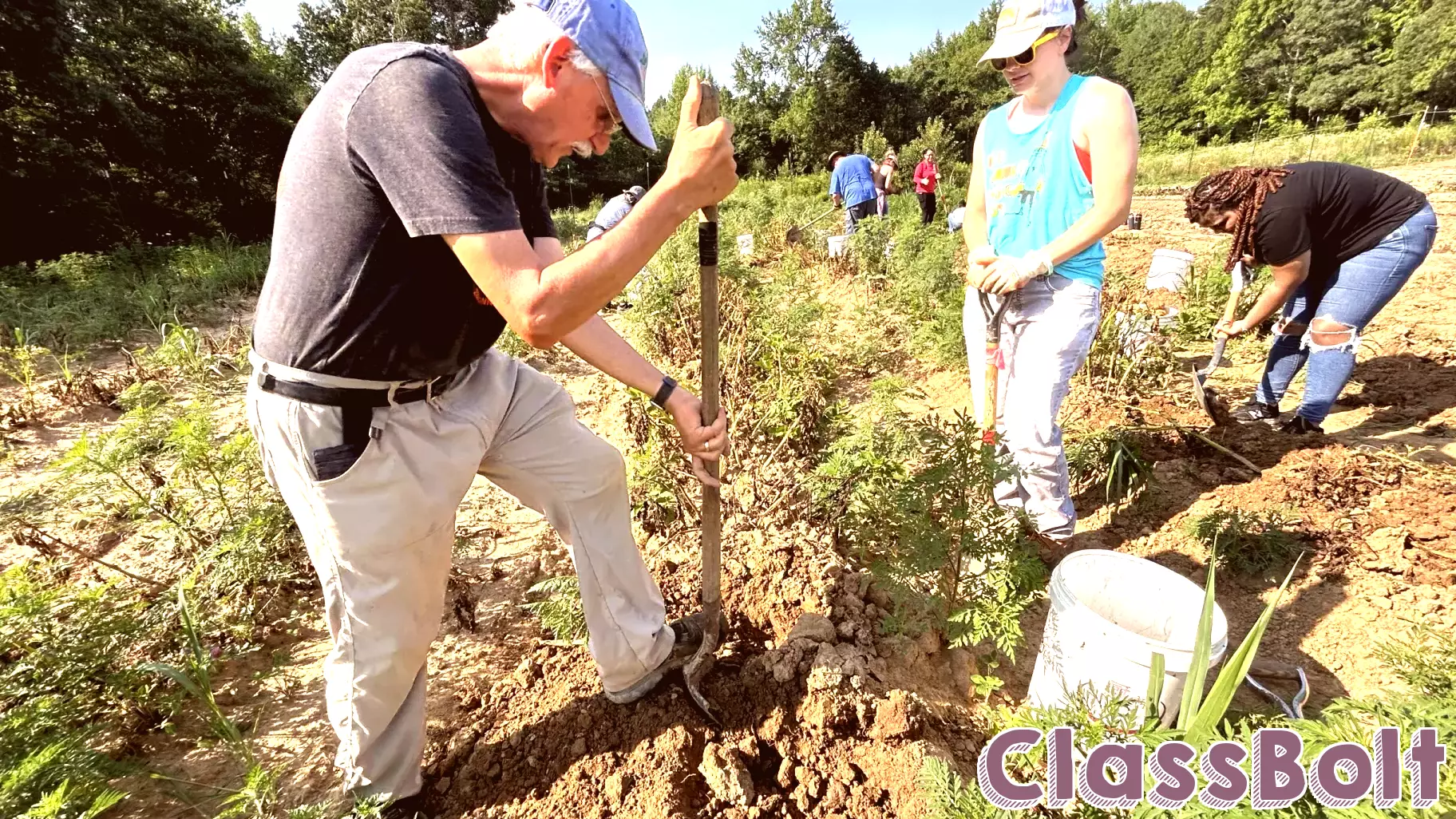 Volunteers Come Together for Potato Harvest at Rappahannock Education Farm