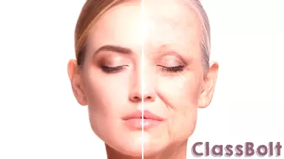 Educational Disparities Linked to Accelerated Aging and Health Inequality