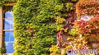 Effects of the OBBBA on higher education