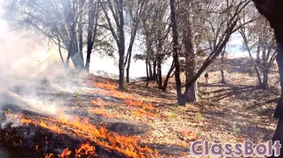 Empowering Nevada County: Free Advisory Visits Plus Interactive Fire Education Workshops for Nevada County Landowners